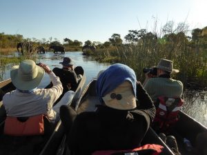 Boat-Ride-Okavango-Delta-Courtesy-Botswana-Trek