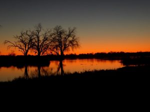Sunset-Okavango-Delta-Courtesty-Botswana-Trek