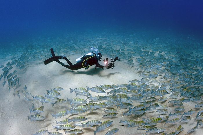Diving-Loreto-Baja-Mexico